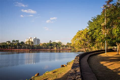 garota de programa sao josé do rio pardo|Classificados São José do Rio Pardo 